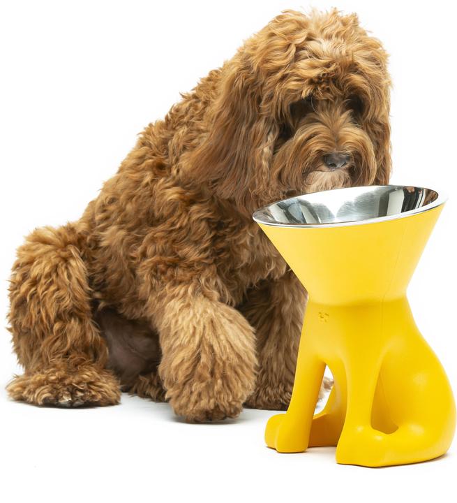 Image du produit United Pets Elizabeth (110 cl)