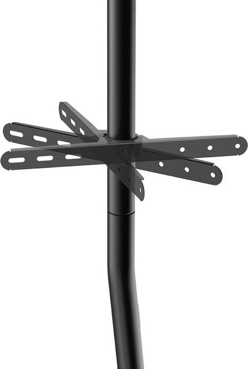 Actual product image myWall My Wall HP 123 Schwarz (70", 40 kg)