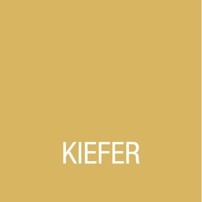 Image du produit Bondex Holzpaste (Pin, 0.07 l)