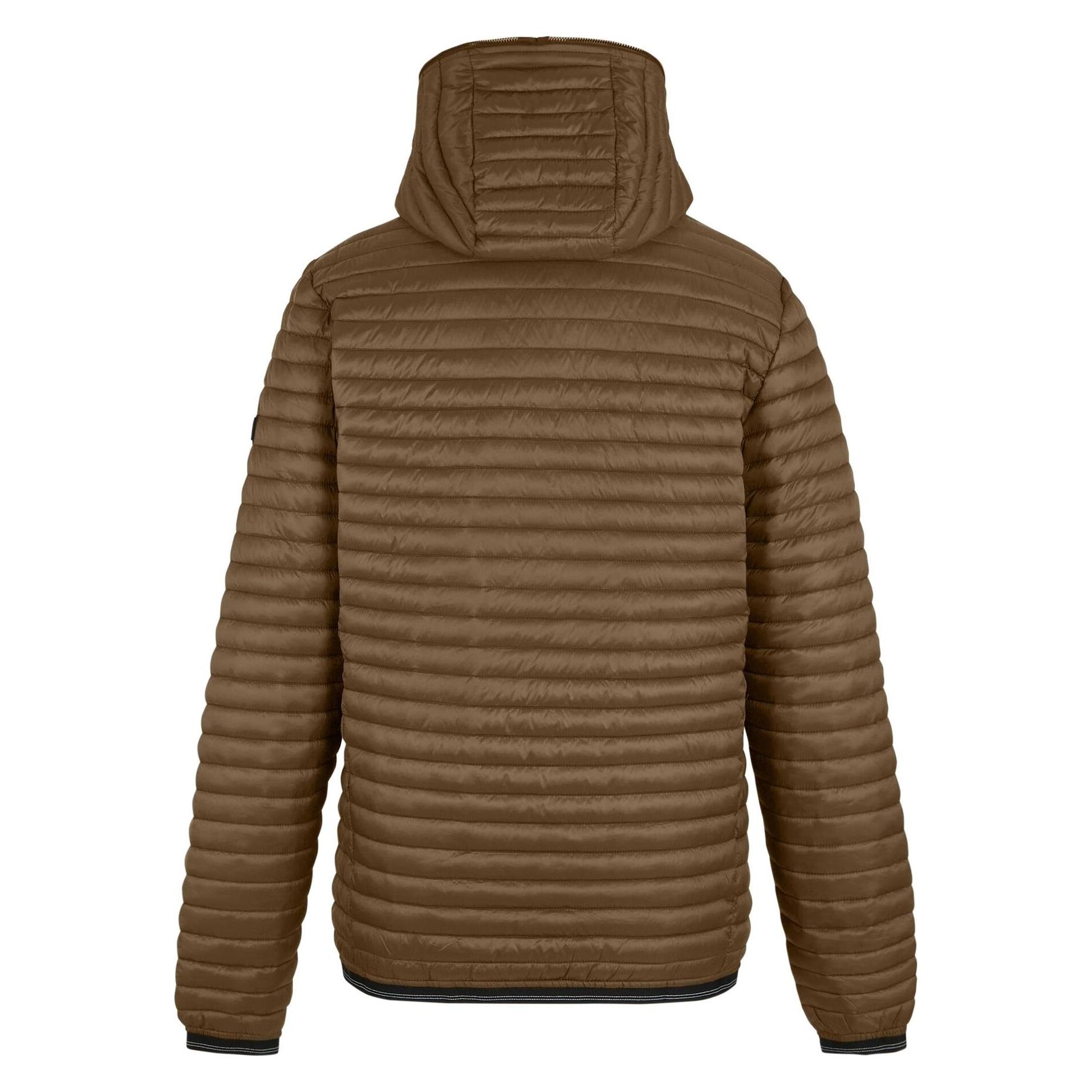 Regatta, Herren, Winterjacken, Rigain, Schwarz, Braun, (M)