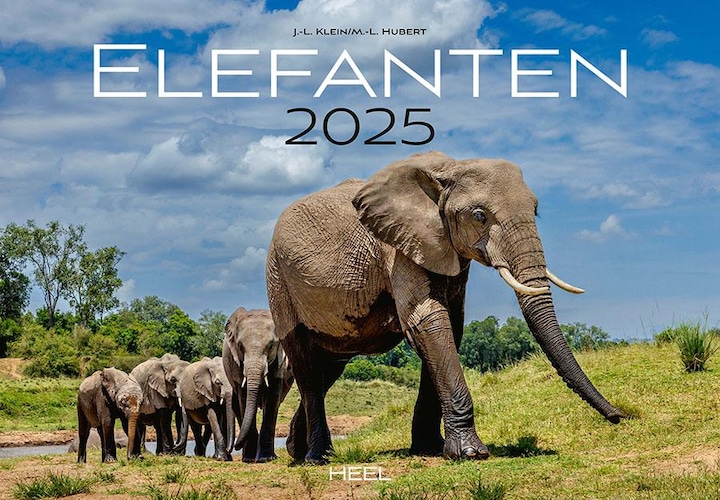 Actual product image Elephant calendar 2025 (Hardcover, German)