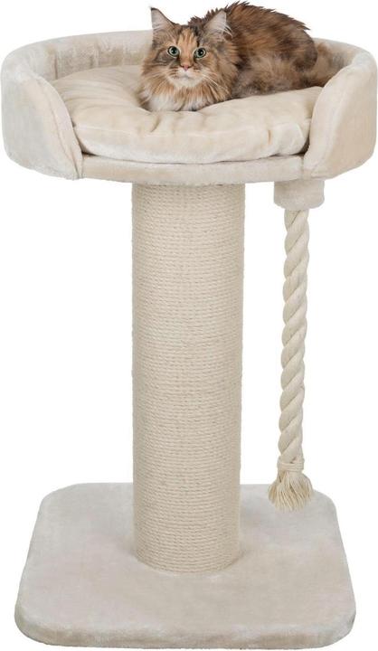 Immagine prodotto Trixie Albero di gatto XXL Klara, 100 cm, panna (100 cm, Crema)