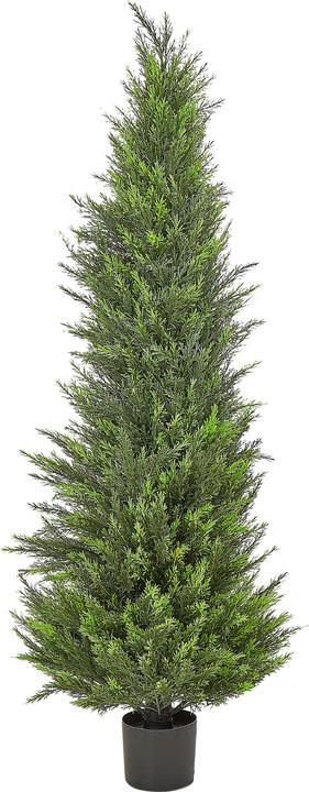 Immagine prodotto Beliani Cedar Tree (153 cm)