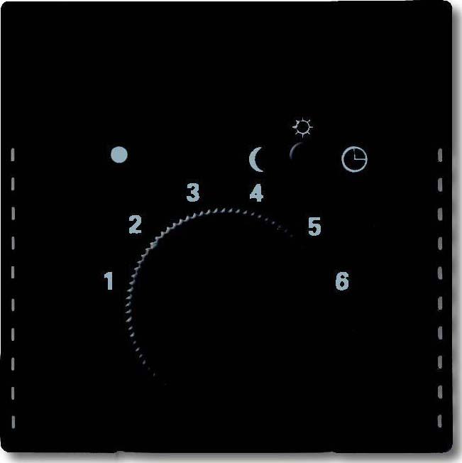 Actual product image Busch-Jaeger Central disk