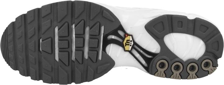 Image du produit Nike Air Max Plus (41)