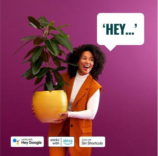 Image du produit WiZ Tunable White & Color (E14, 470 lm, 2 x)