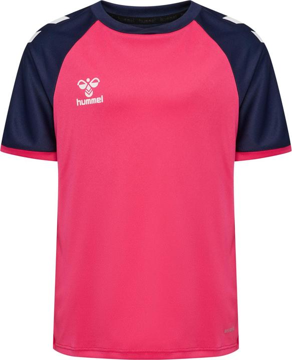 raspberry sorbet marine