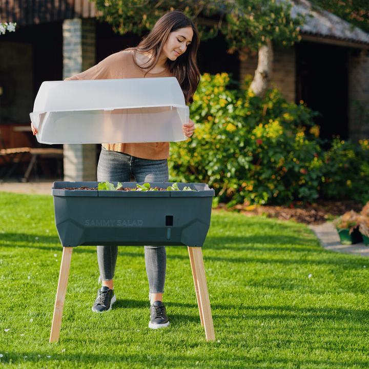 Immagine prodotto Gusta Garden Insalata Sammy