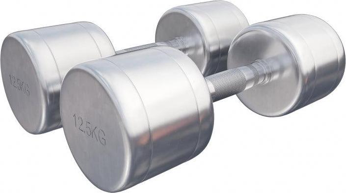 Image du produit Gorilla Sports Chrom Kurzhanteln (2 x 12,5 kg)