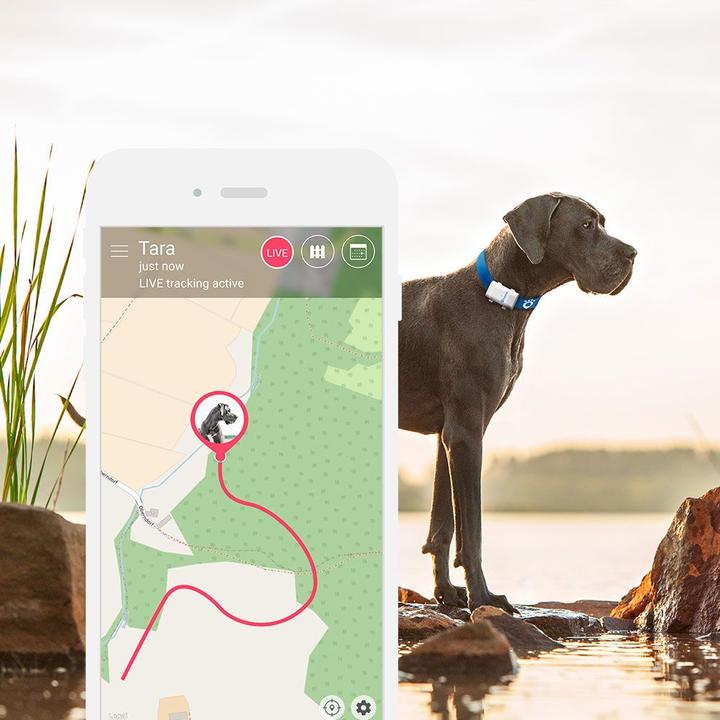 Produktbild Tractive GPS Tracker (XL, Hund)
