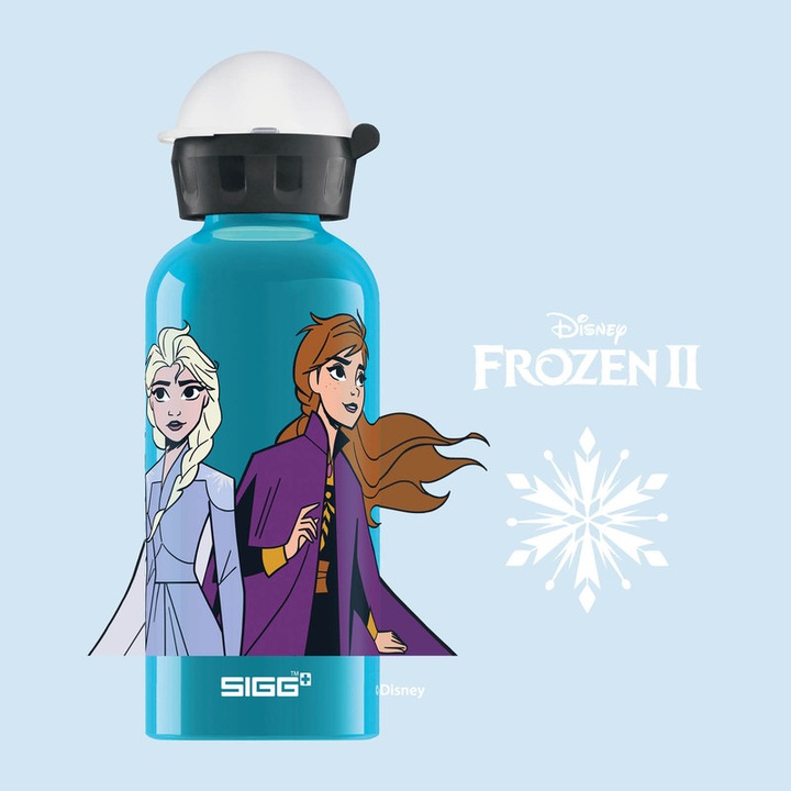 Actual product image Sigg Bottles (0.40 l)