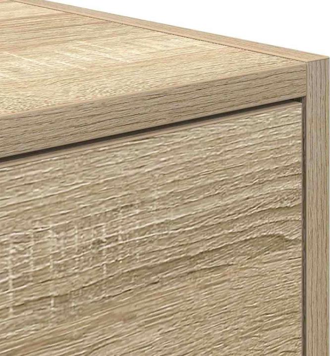 Image du produit vidaXL Chêne Sonoma Armoire TV (31 x 100 x 25.50 cm)