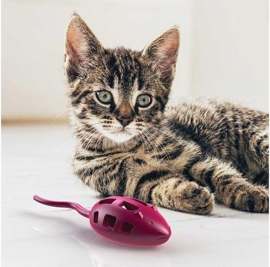 Actual product image Aikiou Mouse Treat Toy (Cat activity toy)