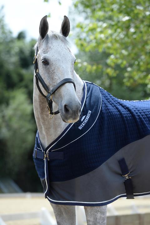 Image du produit Weatherbeeta Thermo-air (155 cm)