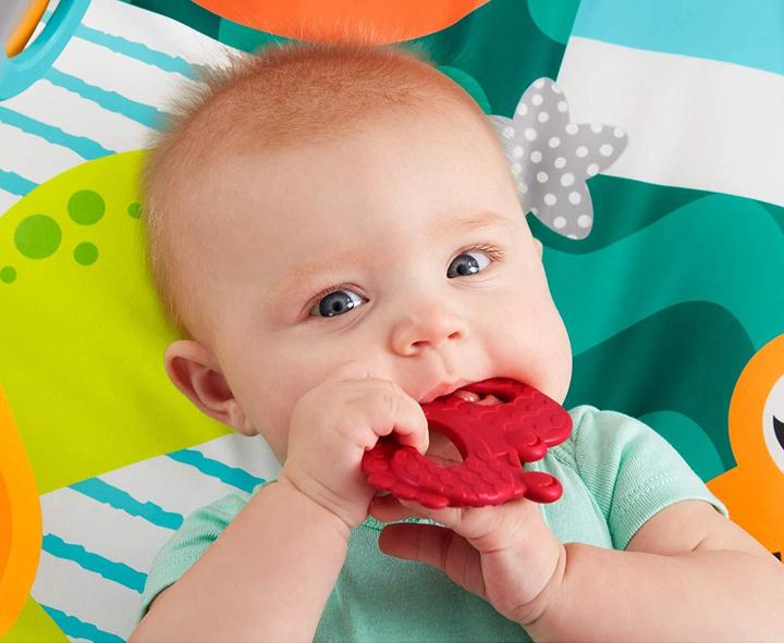 Produktbild Fisher-Price Faltbare Meeres-Spieldecke