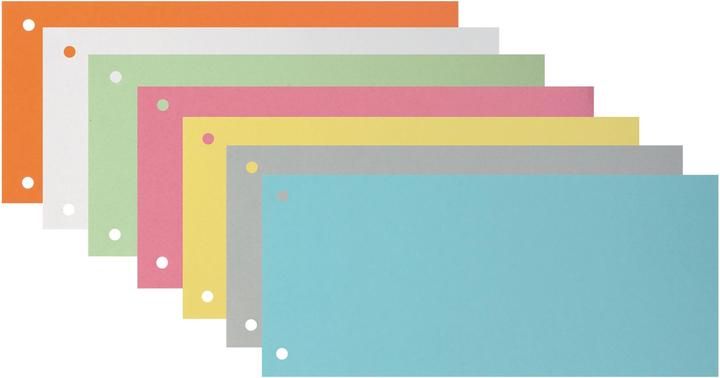 Image du produit Biella Carton à bandes de séparation
