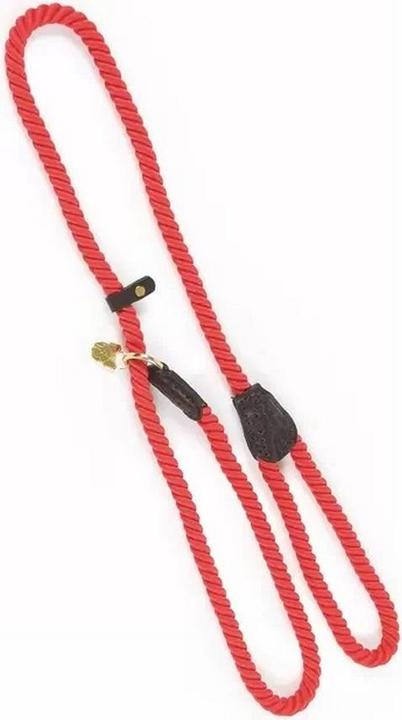 Actual product image Digby & Fox Rope Leather Dog Slip Lead (One size, Dog, Dog sport)