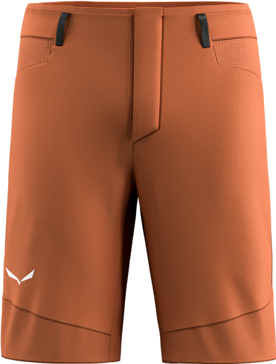 Salewa Agner Durastretch Shorts