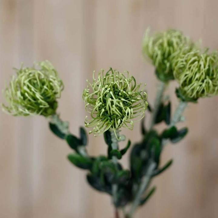 Immagine prodotto Hill Interiors Kunstblume (61 cm)