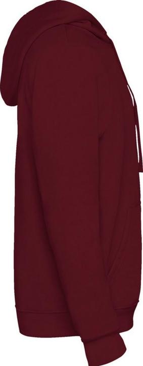 Produktbild Alpinia Urban Kapuzenpullover (S)