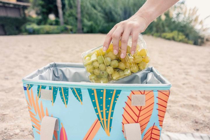 Actual product image Campingaz Ethnic Minimaxi 29L (29 l)