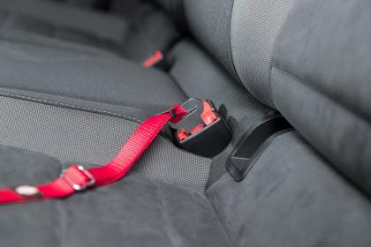 Image du produit Trixie Harnais de voiture (23, 24, 25, 27, 28, 29, 30, 31, 32, 33, 34, 35, 36, 37, 38, 39, 40, 41, 42, 43, 44, 45, 46, 47, 48, 49, 50, Chat, Promenade)