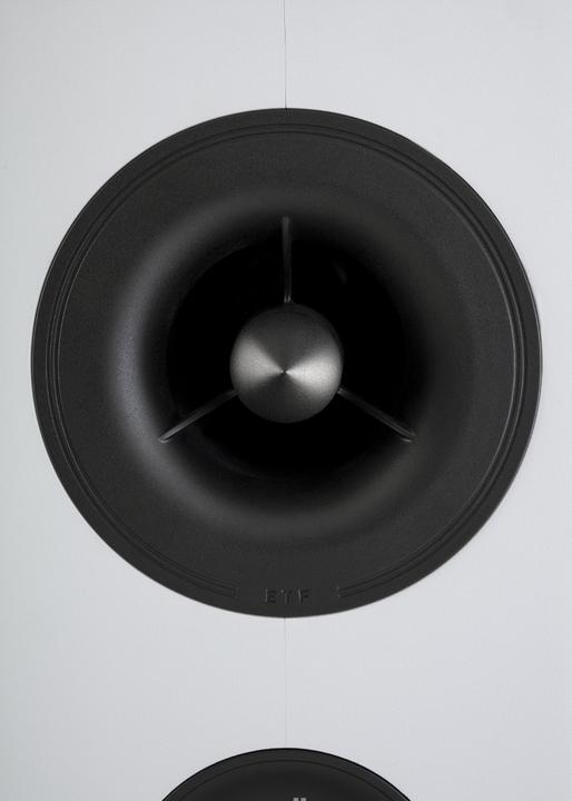 Actual product image Polk Reserve R100 (1 pair, 150 W)