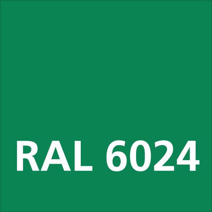 Image du produit Dupli-Color Peinture acrylique brillant RAL 6024 vert signalisation (vert trafic, 0.40 l)