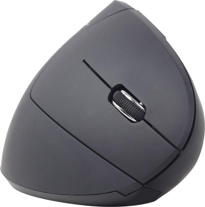 Maus