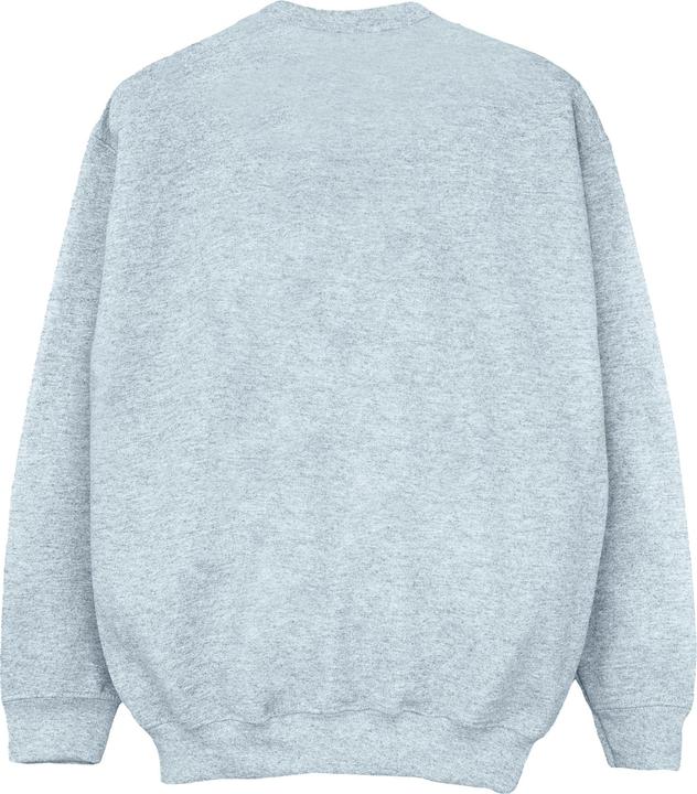 Image du produit - Sweat HOGWARTS CREST GOLD INK - Garçon (152, 158)