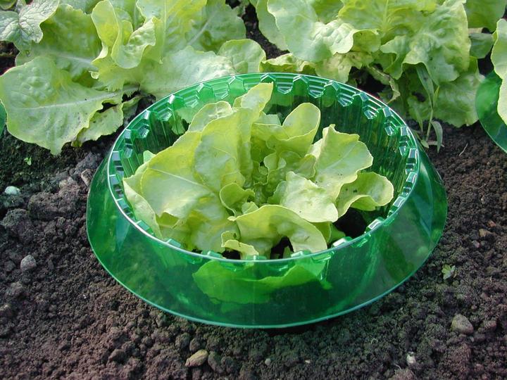 Immagine prodotto Windhager Anello di protezione contro i vermi informatici