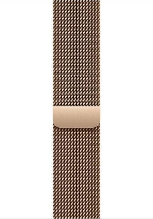 Apple Milanese Loop (46 mm, Stainless steel)