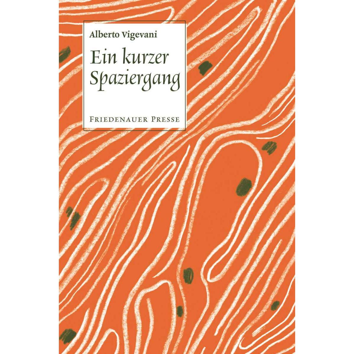 Ein kurzer Spaziergang, Belletristik von Alberto Vigevani