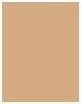 Actual product image Biotherm Aquasource (Medium To Gold)