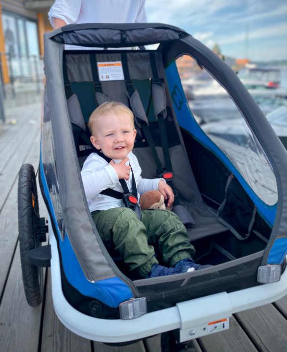 Produktbild hamax Traveller