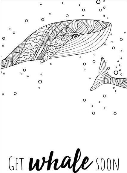 Produktbild Glorex Bastelset Whale Freundschaftsband (1 Stk.)