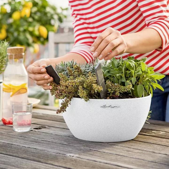 Actual product image Lechuza Cubeto Color (30 cm)