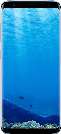Actual product image Samsung Galaxy S8 (64 GB, Coral Blue, 5.80", Single SIM, 12 Mpx, 4G)