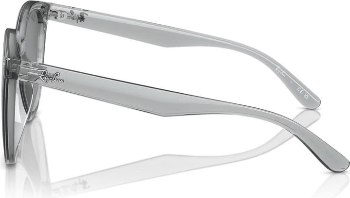 Produktbild Ray Ban RB4423D