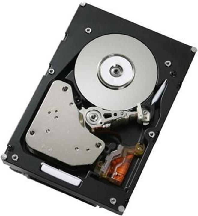 IBM 300GB FC-AL 4Gbps Disk 15k Hot Swap (0.30 TB, 2.5")