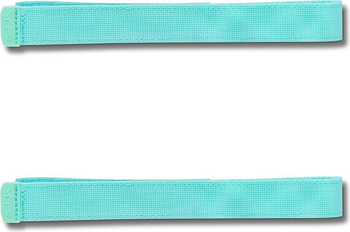 Satch Swaps Mono Mint