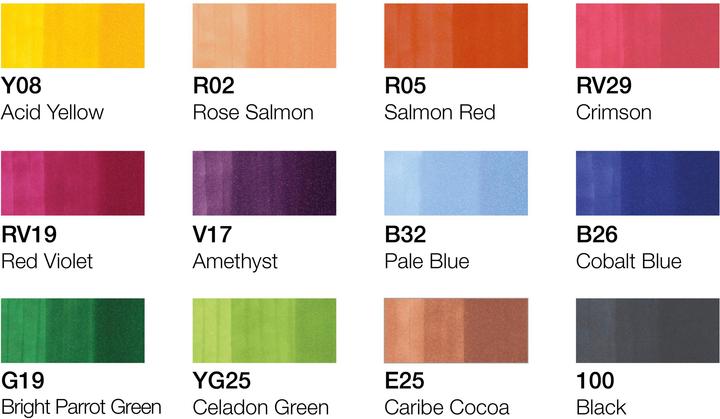 Actual product image Copic Summer colors (12x)