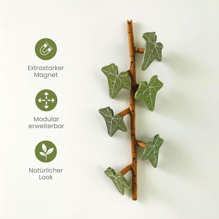 Produktbild Hermex 23-tlg. 3D Efeu-Kühlschrankmagnet-Set Magnet Efeuranken-Deko (23x)