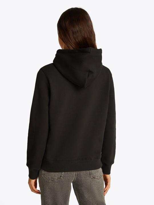 Produktbild Tommy Hilfiger Tjw Reg Linear Damen Kapuzenpullover (XS)