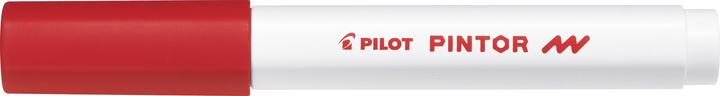 Produktbild Pilot Pintor Fein (1x)
