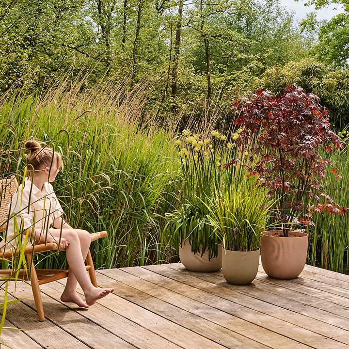 Produktbild Elho Sereh (30 x 26 cm)