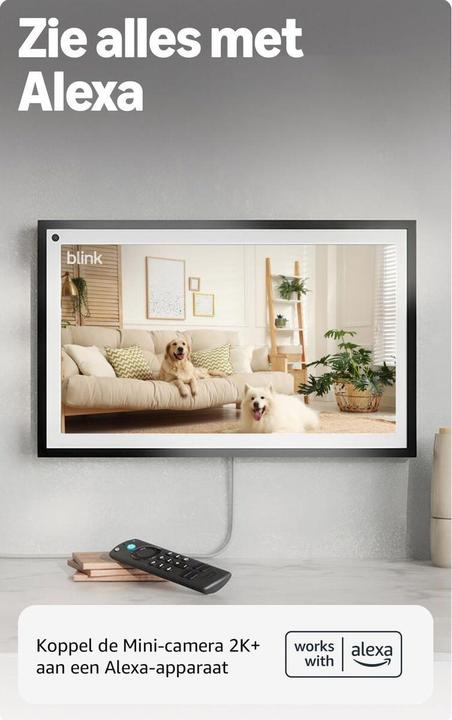 Immagine prodotto Blink Mini 2K (1280 x 720 pixel, 1920 x 1080 Pixels, 2560 x 1440 Pixels)