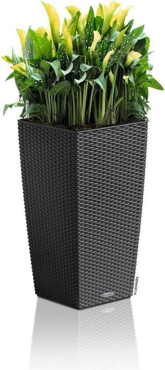 Immagine prodotto Lechuza Cubico Cottage (29.50 cm)