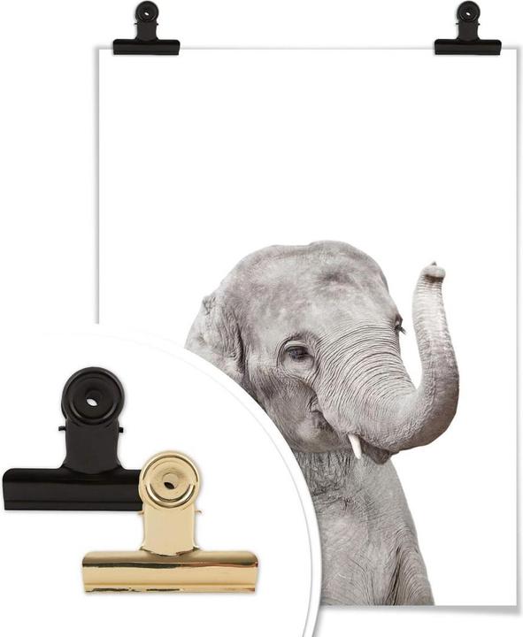 Image du produit Trenddeko Baby Elefant (50 x 60 cm)