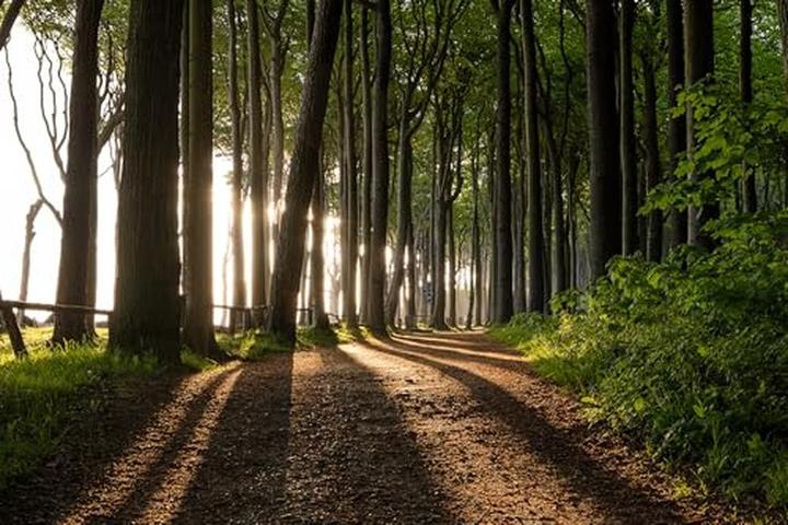 Productafbeelding Tamron AF 18-300mm f/3.5-6.3 Di III-A VC (Fujifilm X, APS-C / DX)